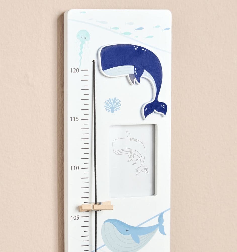 مقياس طول أوشن وايلي لوف 