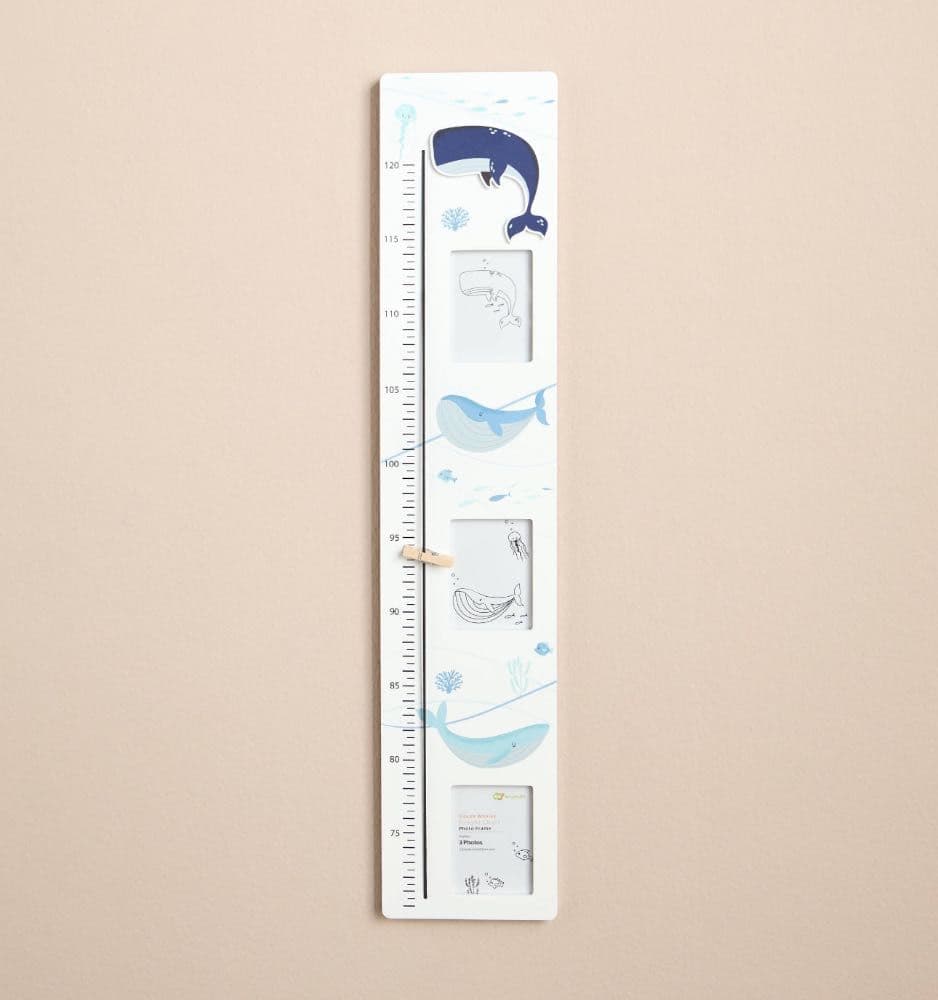 مقياس طول أوشن وايلي لوف